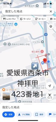 image1.jpeg